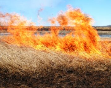 744892220220422112957